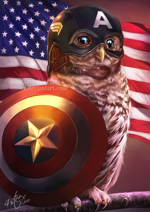 Captain Owlmerica